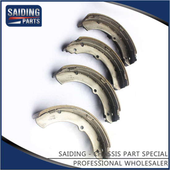 coaster brake shoes